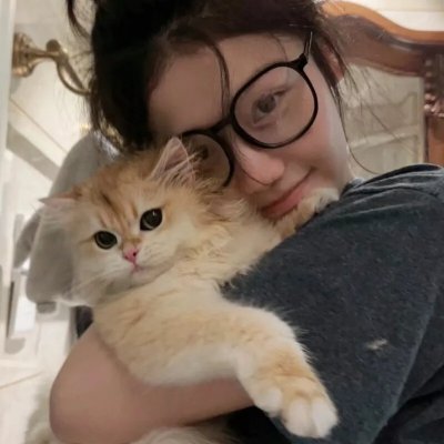 猫侍 前往南之岛